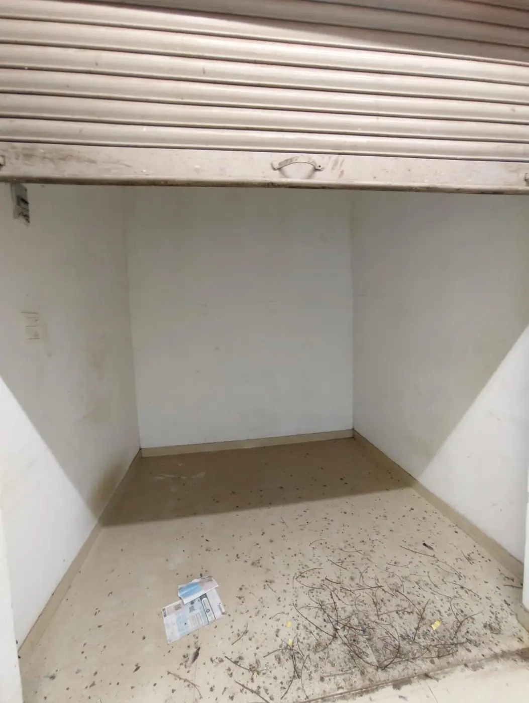 AVAILABLE GALA FOR RENT