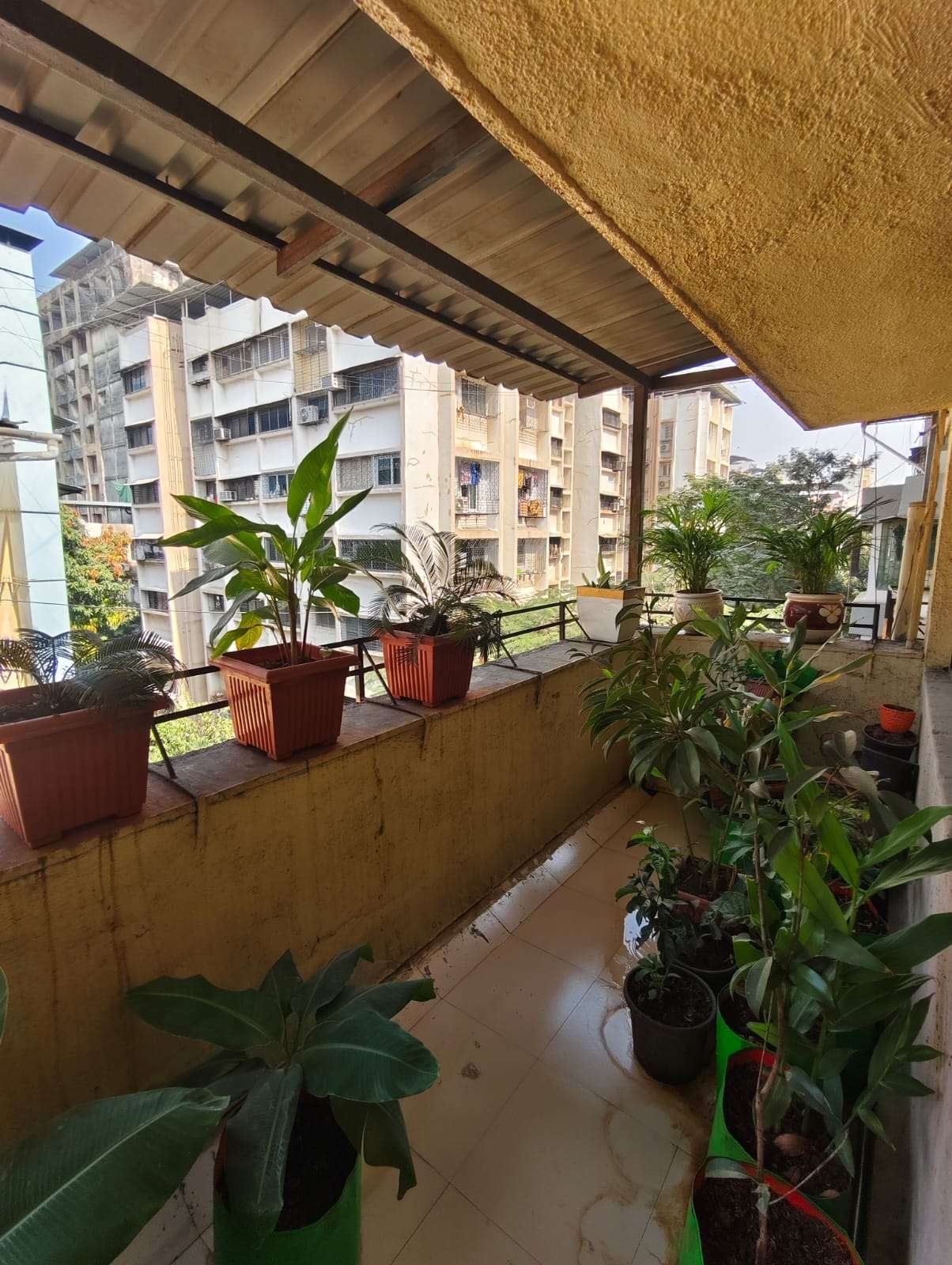 WhatsApp Image 2025-12-22 at 3.37.30 PM